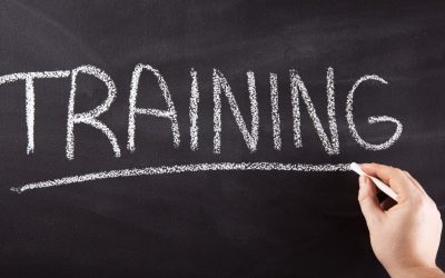 CAP : La Formation Qui Sauve Mieux Que La Fac